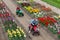 Garden with exposition of several kind of tulips, the Netherlands