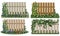 Garden fence set with climbing plants, flowers, greenery.