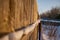 Garden fence, sidewalk and plants covered in snow during a winter storm