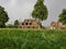Garden in The Feroz Shah Kotla or Kotla was a fortress built by Feroz Shah Tughlaq to house his version of Delhi city called