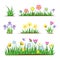 Garden flat flowers in grass. Spring tulip, meadow decorative floral elements. Springtime field plants, wild simple