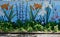 Garden Flowers Fence Mural