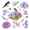 Garden flowers and swallow bird watercolor set. Hand drawn swallow, hydrangea, forget-me-not, bee, basket, dragonfly