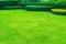 Garden with fresh green grass both shrub and flower front lawn background, Garden landscape design Fresh grass smooth lawn