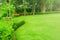 Garden with fresh green grass both shrub and flower front lawn background, Garden landscape design Fresh grass smooth lawn with cu