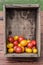 Garden fresh homegrown tomatoes in a wood crate