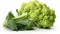 Garden Freshness: Closeup of Broccoli Isolated on White Background
