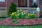 A Garden In a Front Yard in Suburban Pennyslvania With Yellow Flowers