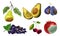 Garden Fruits with Skin Covered with Stinky Rot Vector Set