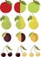 Garden fruits. Vector.