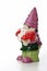 Garden gnome holding fly agarics