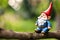 Garden gnome sitting on a tree branch.