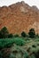 Garden of the Gods Colorado