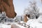 Garden of the Gods Park in Winter