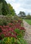 Garden at Great Chalfield Manor near Bradford on Avon, Wiltshire UK, photographed in autumn with red sedum flowers in foreground.