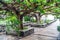 Garden in The Greek Orthodox Church of the Twelve Apostles in Ca