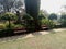 Garden, greenery, park, land, tree