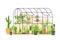 Garden greenhouse. Glass botanical orangery house with cactus and tropical cultivated plants in pots. Cartoon greenery