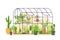 Garden greenhouse. Glass botanical orangery house with cactus and tropical cultivated plants in pots. Cartoon greenery nature