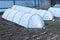 Garden greenhouses in the form of arches covered with fiber. Garden.