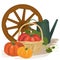 Garden harvest with vegetables and different gardening equipment, tools. Vector illustration.