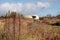 Garden at Hauser & Wirth named the Oudolf Field, Bruton, Somerset UK. Designed by Piet Oudolf. Photographed in autumn.