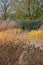 Garden at Hauser & Wirth named the Oudolf Field, Bruton, Somerset UK. Designed by Piet Oudolf. Photographed in autumn.