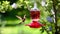 Garden Haven Hummingbird Feeder