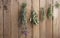 Garden herbs hung up to dry