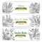 Garden herbs and spices banner for food design