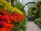 Garden: historic glasshouse flower display - h
