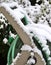 Garden hose covered in snow