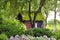 Garden house mossy roof plants flowers background