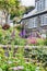 Garden and house, village Port Isaac