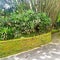 Garden indonesia Tropical bamboo sidewalkgarden