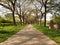 Garden Infinity Walkway Path