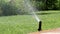 Garden Irrigation Sprinkler watering lawn