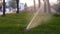 Garden irrigation sprinkler watering lawn in the park near walkway. Automated rotating irrigation system. Green grass