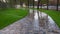 Garden irrigation sprinkler watering lawn in the park near walkway. Automated rotating irrigation system. Green grass