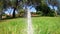 Garden Irrigation Sprinkler watering lawn - shot 1