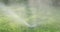 Garden irrigation system spray watering lawn