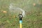 Garden irrigation or watering sprinkler
