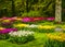 Garden in Keukenhof, colorful tulip flowers and trees. Netherlands