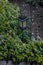 Garden lamp standing on a green flowerbed