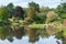 Garden landscape, lush water reflection