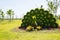 Garden landscape, three-dimensional flower beds