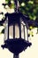 Garden Lanterns in Garden with Sunlight Background