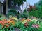 garden with large planting of coneflowers in various colors