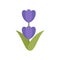 Garden lavender icon flat isolated vector