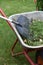 Garden leaning wheel barrow full of organic waste